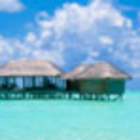 Authentic Chettinad Restaurant